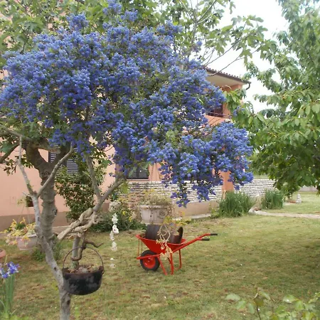 דירה Ella פולה